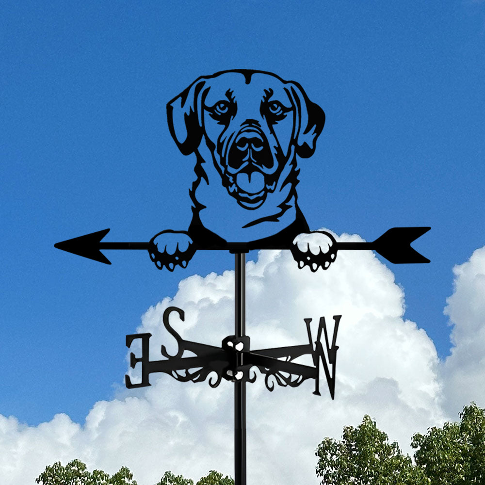 Black Mouth Cur Dog Stainless Steel Weathervane