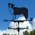Border Collie Stainless Steel Weathervane